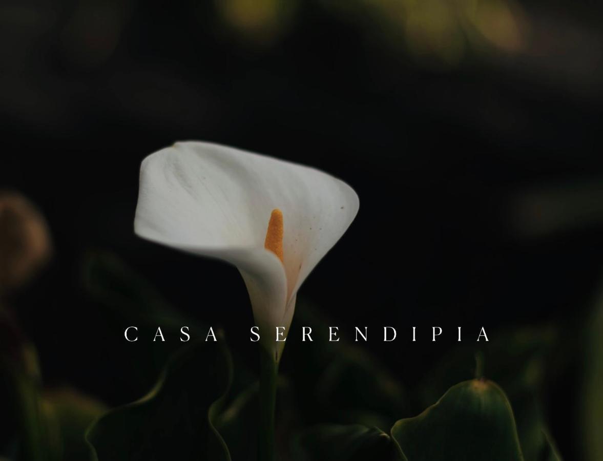 Casa Serendipia Ла-Асомада Экстерьер фото